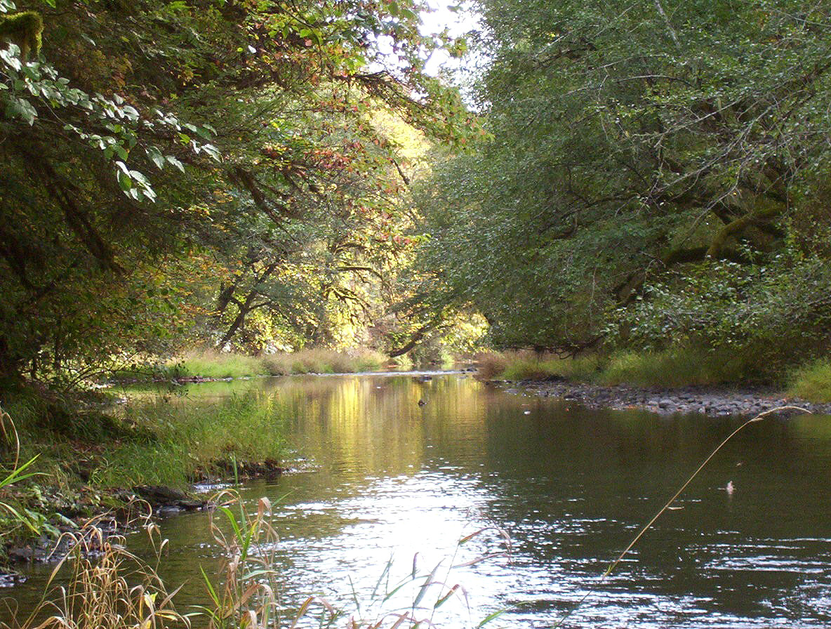 Salmonberry Campground