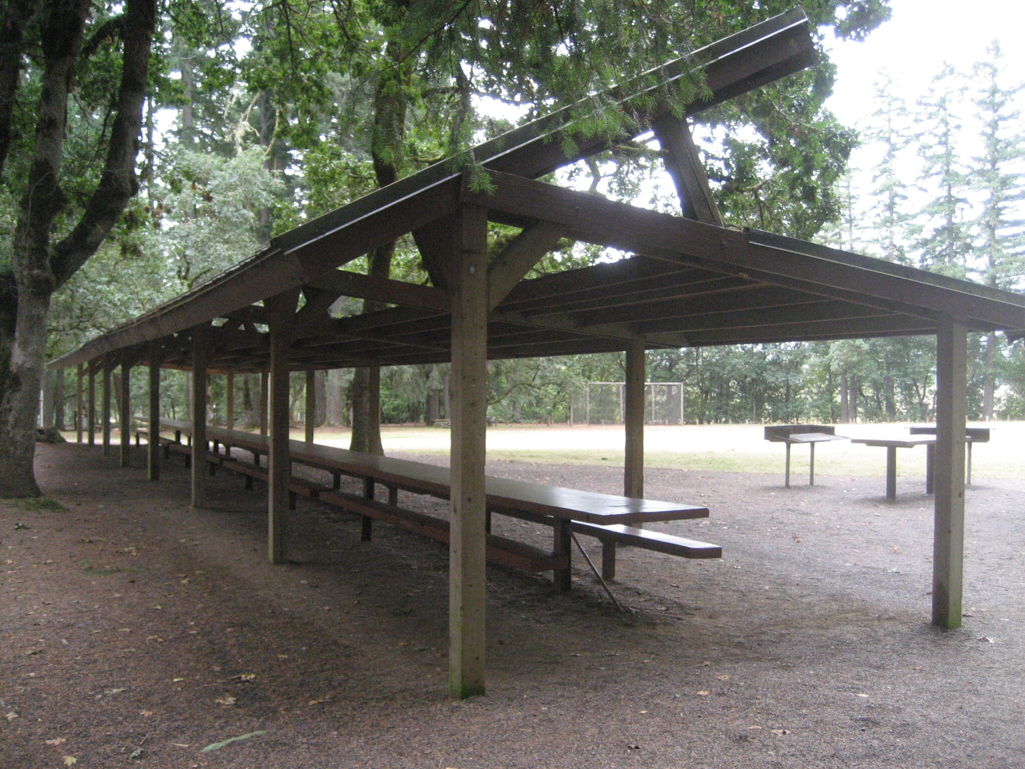 Bellfountain County Park Playground & Tree Hazards Project Benton