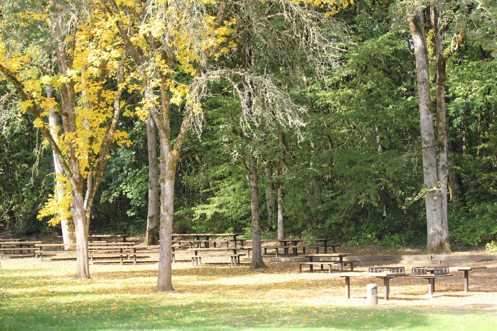 Adair County Park Benton County Natural Areas, Parks and Events, Oregon