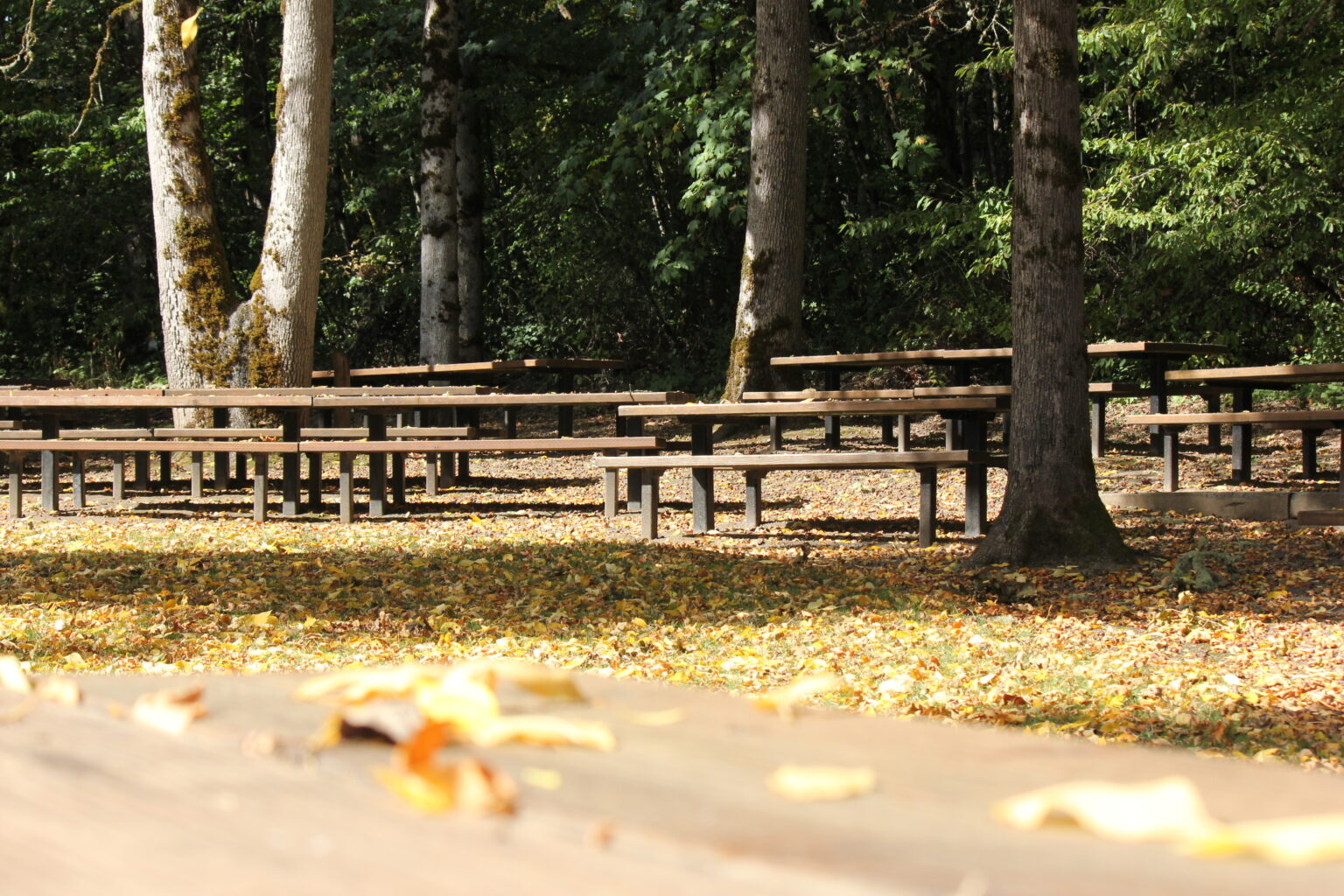 Adair County Park Benton County Natural Areas, Parks and Events, Oregon