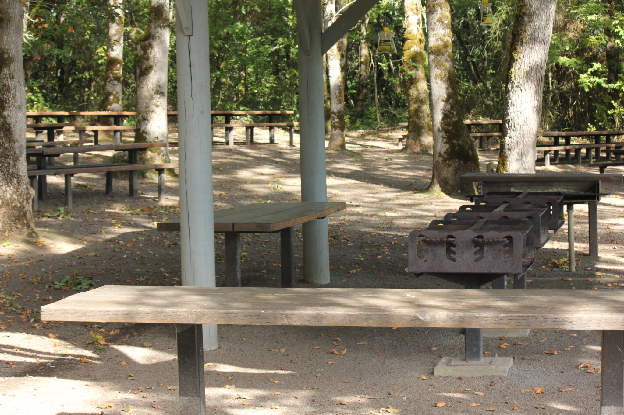 Adair County Park Benton County Natural Areas, Parks and Events, Oregon