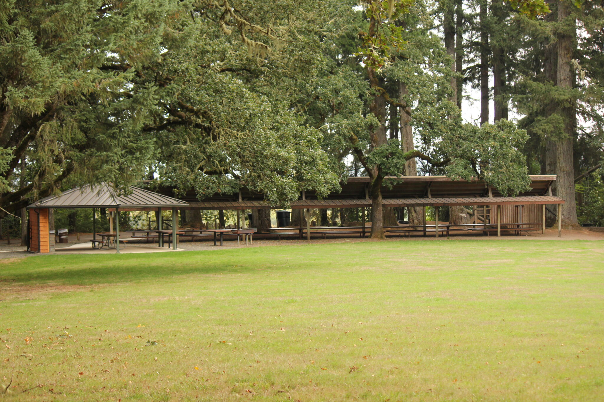 Bellfountain County Park Playground & Tree Hazards Project Benton